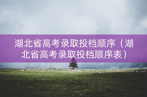 湖北省高考录取投档顺序（湖北省高考录取投档顺序表）