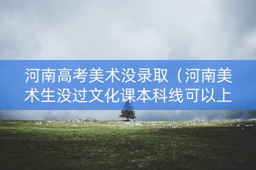河南高考美术没录取（河南美术生没过文化课本科线可以上什么大专）
