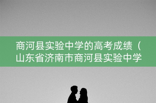 商河县实验中学的高考成绩（山东省济南市商河县实验中学）