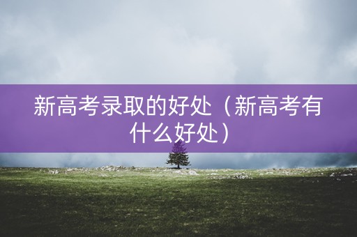 新高考录取的好处（新高考有什么好处）