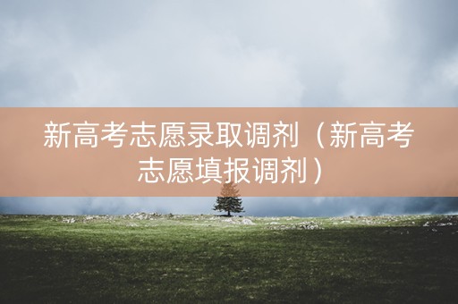 新高考志愿录取调剂（新高考志愿填报调剂）