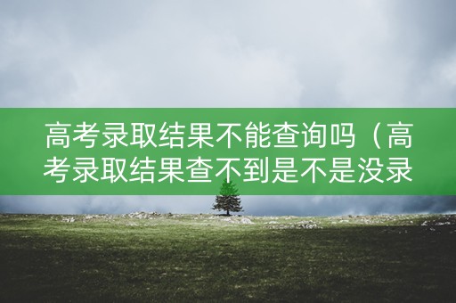 高考录取结果不能查询吗（高考录取结果查不到是不是没录取）