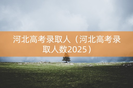 河北高考录取人（河北高考录取人数2025）