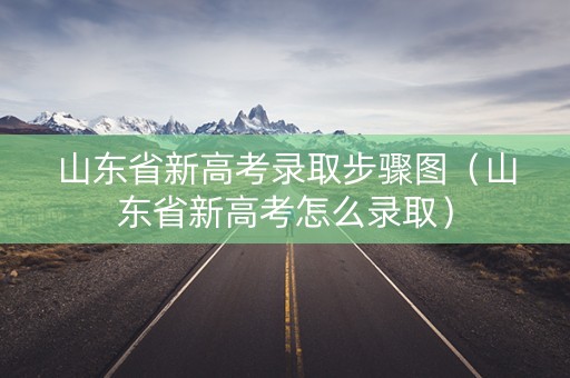 山东省新高考录取步骤图（山东省新高考怎么录取）