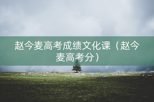 赵今麦高考成绩文化课（赵今麦高考分）