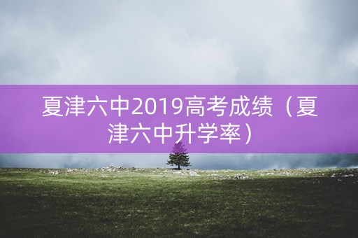 夏津六中2019高考成绩（夏津六中升学率）