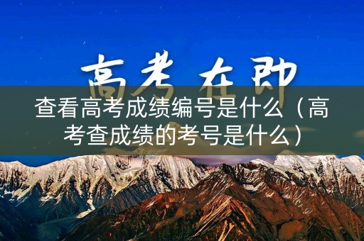 查看高考成绩编号是什么（高考查成绩的考号是什么）
