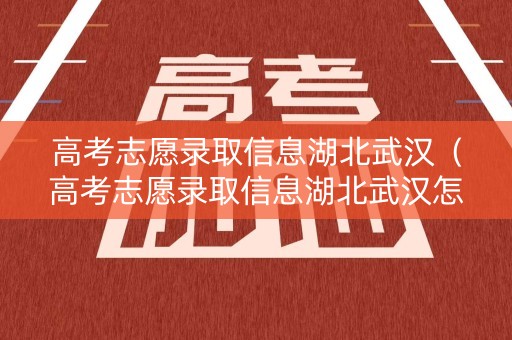 高考志愿录取信息湖北武汉（高考志愿录取信息湖北武汉怎么填）