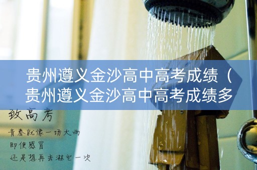 贵州遵义金沙高中高考成绩（贵州遵义金沙高中高考成绩多少）