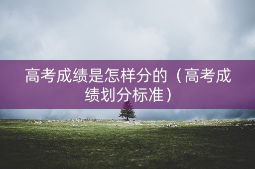 高考成绩是怎样分的（高考成绩划分标准）