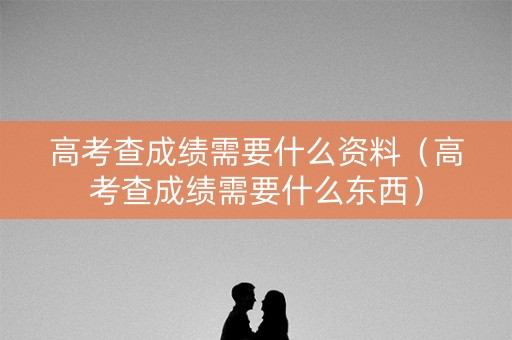高考查成绩需要什么资料（高考查成绩需要什么东西）