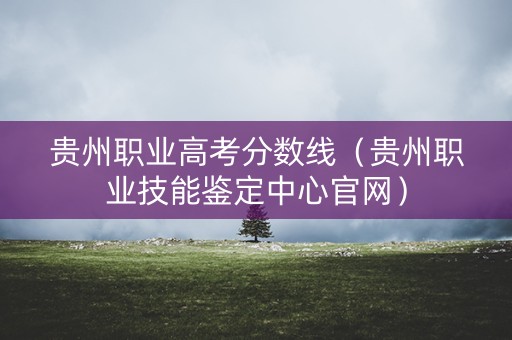 贵州职业高考分数线（贵州职业技能鉴定中心官网）