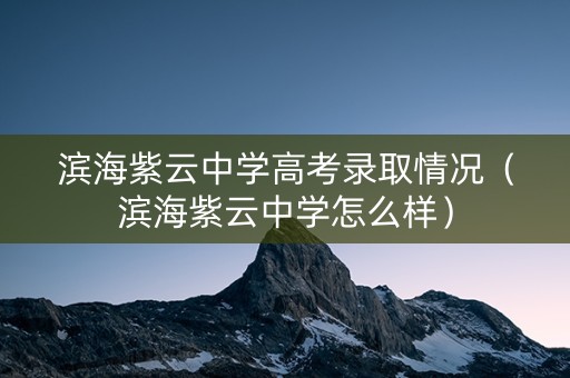 滨海紫云中学高考录取情况（滨海紫云中学怎么样）
