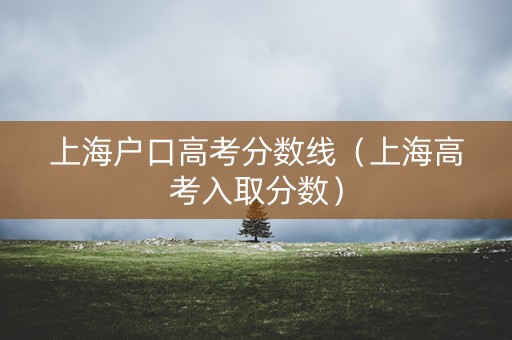 上海户口高考分数线（上海高考入取分数）