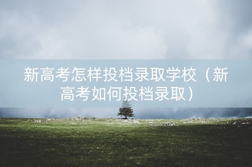 新高考怎样投档录取学校（新高考如何投档录取）