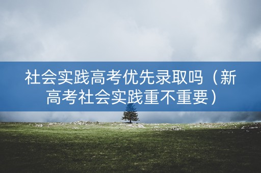 社会实践高考优先录取吗（新高考社会实践重不重要）