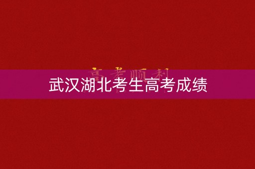 武汉湖北考生高考成绩