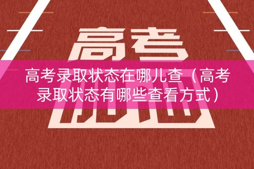 高考录取状态在哪儿查（高考录取状态有哪些查看方式）
