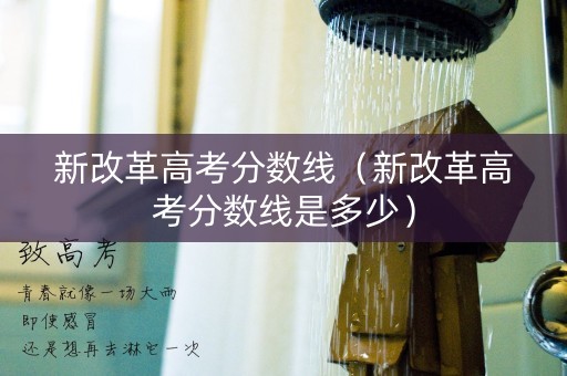 新改革高考分数线（新改革高考分数线是多少）