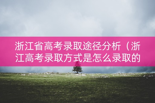 浙江省高考录取途径分析（浙江高考录取方式是怎么录取的）