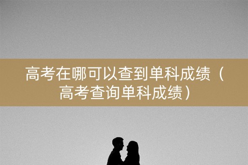 高考在哪可以查到单科成绩（高考查询单科成绩）
