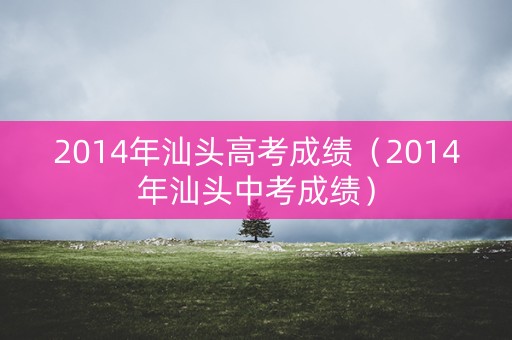 2014年汕头高考成绩（2014年汕头中考成绩）