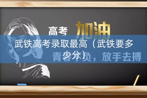武铁高考录取最高（武铁要多少分）