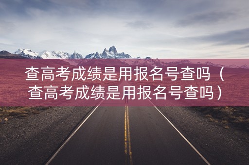 查高考成绩是用报名号查吗（查高考成绩是用报名号查吗）