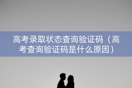 高考录取状态查询验证码（高考查询验证码是什么原因）