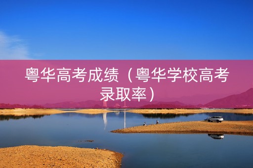 粤华高考成绩（粤华学校高考录取率）