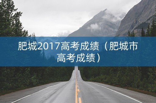 肥城2017高考成绩（肥城市高考成绩）
