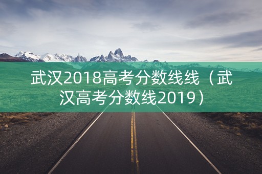武汉2018高考分数线线（武汉高考分数线2019）