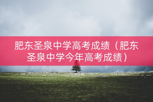 肥东圣泉中学高考成绩（肥东圣泉中学今年高考成绩）