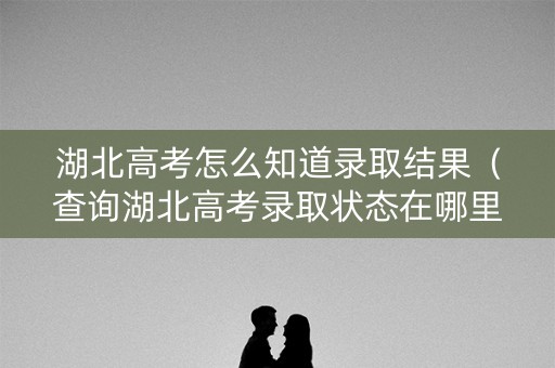 湖北高考怎么知道录取结果（查询湖北高考录取状态在哪里查询）