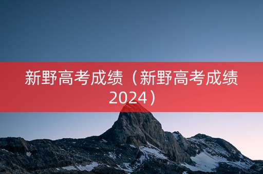 新野高考成绩（新野高考成绩2024）