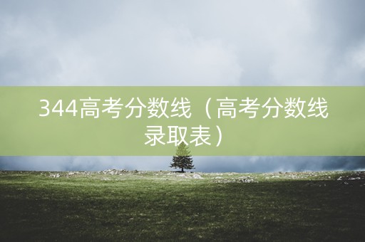 344高考分数线（高考分数线录取表）