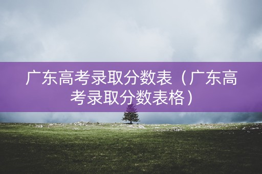 广东高考录取分数表（广东高考录取分数表格）