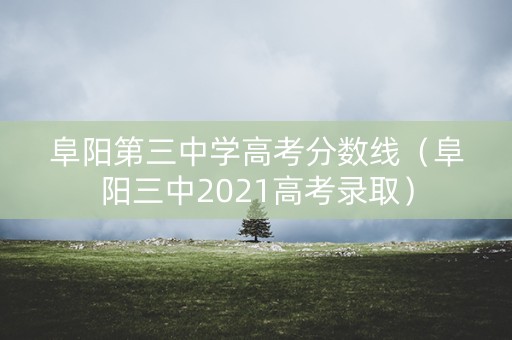 阜阳第三中学高考分数线（阜阳三中2021高考录取）