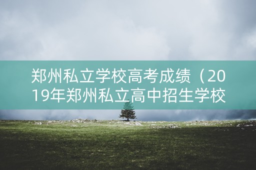 郑州私立学校高考成绩（2019年郑州私立高中招生学校和分数线）
