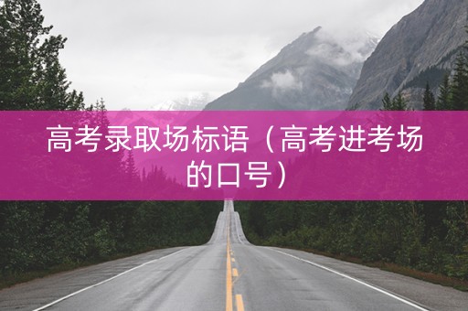 高考录取场标语（高考进考场的口号）