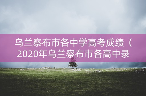 乌兰察布市各中学高考成绩（2020年乌兰察布市各高中录取分数线）