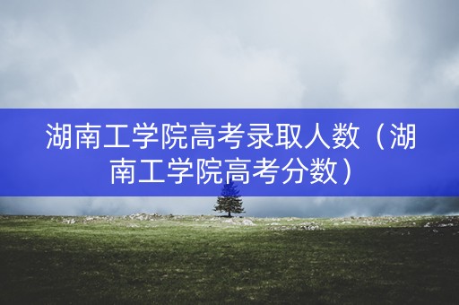 湖南工学院高考录取人数（湖南工学院高考分数）