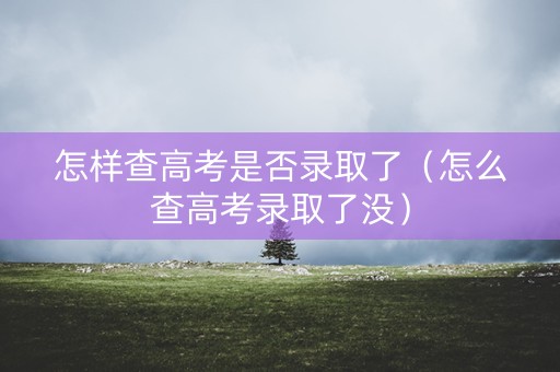 怎样查高考是否录取了（怎么查高考录取了没）