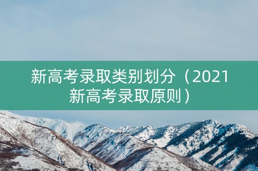 新高考录取类别划分（2021新高考录取原则）