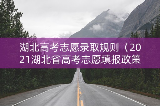 湖北高考志愿录取规则（2021湖北省高考志愿填报政策）