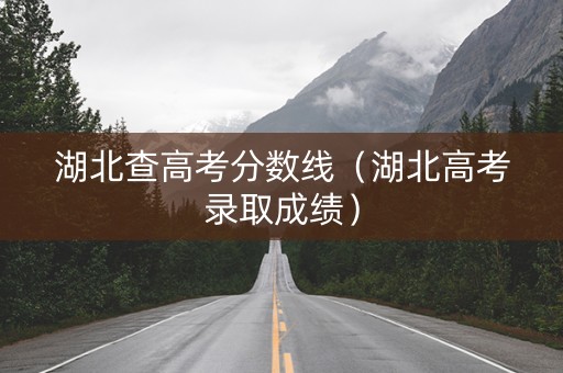 湖北查高考分数线（湖北高考录取成绩）