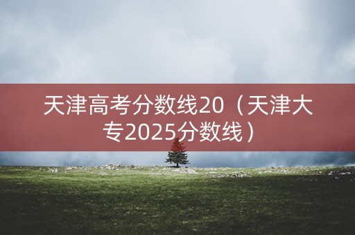天津高考分数线20（天津大专2025分数线）