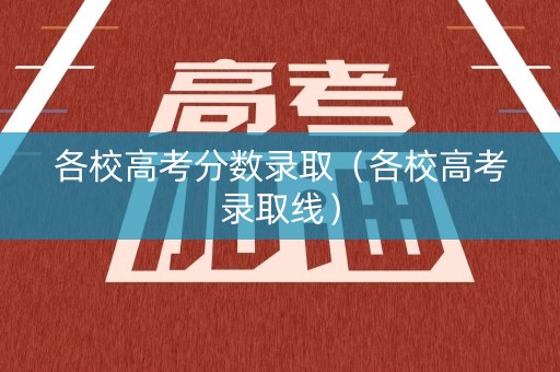 各校高考分数录取（各校高考录取线）
