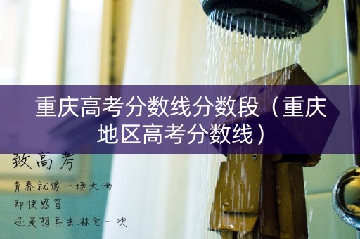 重庆高考分数线分数段（重庆地区高考分数线）