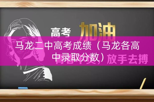 马龙二中高考成绩（马龙各高中录取分数）